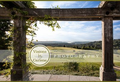Seattle skyline vista view