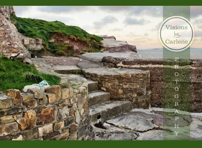Outdoor stone steps in a landscape setting